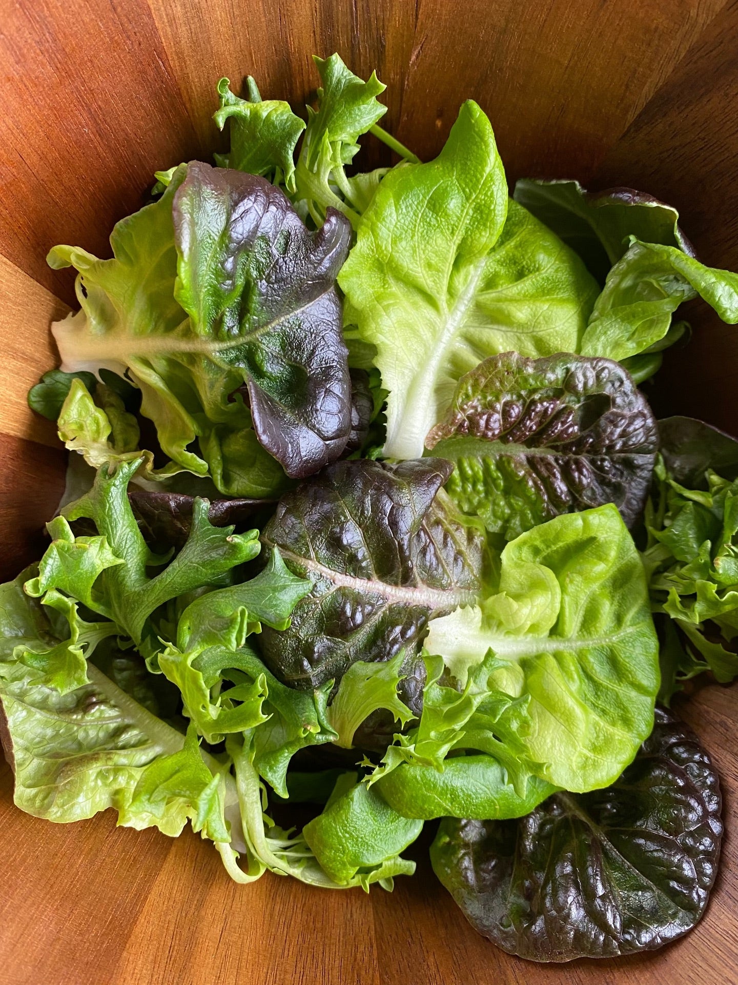 Lettuce Blend Subscription (Out of Town)